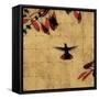 Colibri II-Chris Donovan-Framed Stretched Canvas