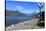 Colico, Lake Como, Lombardy, Italian Lakes, Italy, Europe-Vincenzo Lombardo-Stretched Canvas