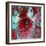 Colima Volcano, Mexico-Science Source-Framed Photographic Print