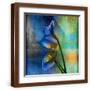 Brown Frame