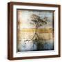 Brown Frame