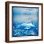 Brown Frame