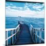 Wood Mount