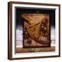 Brown Frame
