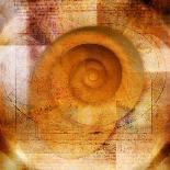 Snail Shell and Handwriting-Colin Anderson-Photographic Print