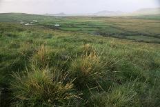 Dingle Peninsula, County Kerry, Munster, Republic of Ireland (Eire)-Colin Brynn-Photographic Print