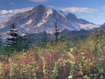 Landscape, Mount Rainier National Park, Washington State, United States of America, North America-Colin Brynn-Photographic Print