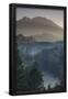 Essential Black