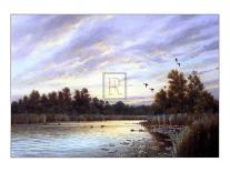 Casting for Trout-Colin Burns-Stretched Canvas