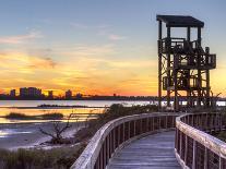 Sunrise on the Pensacola Beach Ferris Wheel on Santa Rosa Sound in Pensacola Beach, Florida-Colin D Young-Photographic Print