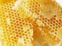Honeycomb (Close-Up)-Colin Erricson-Stretched Canvas