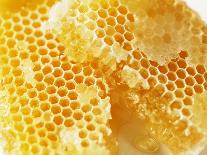 Honeycomb (Close-Up)-Colin Erricson-Mounted Photographic Print