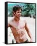 Colin Farrell-null-Framed Stretched Canvas