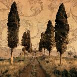 Tuscan Countryside II-Colin Floyd-Art Print