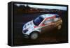 Colin McRae in Ford Focus RS WRC, Network Q rally2002-null-Framed Stretched Canvas
