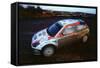 Colin McRae in Ford Focus RS WRC, Network Q rally2002-null-Framed Stretched Canvas