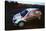 Colin McRae in Ford Focus RS WRC, Network Q rally2002-null-Stretched Canvas