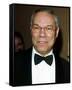 Colin Powell-null-Framed Stretched Canvas