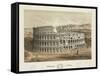 Coliseum at Rome-null-Framed Stretched Canvas