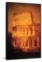 Coliseum by Andre Burian-Andr? Burian-Framed Stretched Canvas