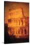 Coliseum by Andre Burian-Andr? Burian-Stretched Canvas