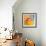 Collage Bowls II-Patricia Pinto-Framed Premium Giclee Print displayed on a wall