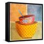 Collage Bowls II-Patricia Pinto-Framed Stretched Canvas