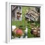 Collage Countryside Impressions with Label 'Home'-Andrea Haase-Framed Photographic Print