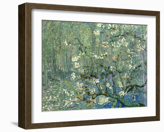 Collage Design with Painting Elements - Almond Branches in Bloom & Trees and Undergrowth-Elements of Vincent Van Gogh-Framed Art Print