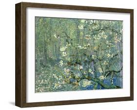 Collage Design with Painting Elements - Almond Branches in Bloom & Trees and Undergrowth-Elements of Vincent Van Gogh-Framed Art Print