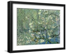 Collage Design with Painting Elements - Almond Branches in Bloom & Trees and Undergrowth-Elements of Vincent Van Gogh-Framed Art Print