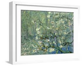 Collage Design with Painting Elements - Almond Branches in Bloom & Trees and Undergrowth-Elements of Vincent Van Gogh-Framed Art Print