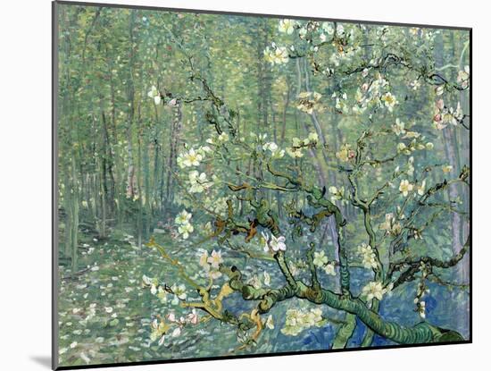 Collage Design with Painting Elements - Almond Branches in Bloom & Trees and Undergrowth-Elements of Vincent Van Gogh-Mounted Art Print