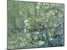 Collage Design with Painting Elements - Almond Branches in Bloom & Trees and Undergrowth-Elements of Vincent Van Gogh-Mounted Art Print