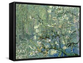 Collage Design with Painting Elements - Almond Branches in Bloom & Trees and Undergrowth-Elements of Vincent Van Gogh-Framed Stretched Canvas