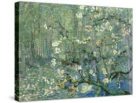 Collage Design with Painting Elements - Almond Branches in Bloom & Trees and Undergrowth-Elements of Vincent Van Gogh-Stretched Canvas