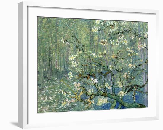 Collage Design with Painting Elements - Almond Branches in Bloom & Trees and Undergrowth-Elements of Vincent Van Gogh-Framed Art Print