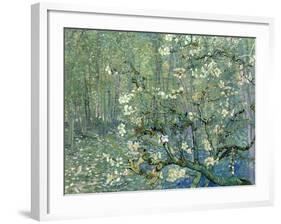 Collage Design with Painting Elements - Almond Branches in Bloom & Trees and Undergrowth-Elements of Vincent Van Gogh-Framed Art Print