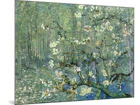 Collage Design with Painting Elements - Almond Branches in Bloom & Trees and Undergrowth-Elements of Vincent Van Gogh-Mounted Art Print