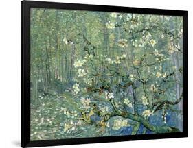 Collage Design with Painting Elements - Almond Branches in Bloom & Trees and Undergrowth-Elements of Vincent Van Gogh-Framed Art Print