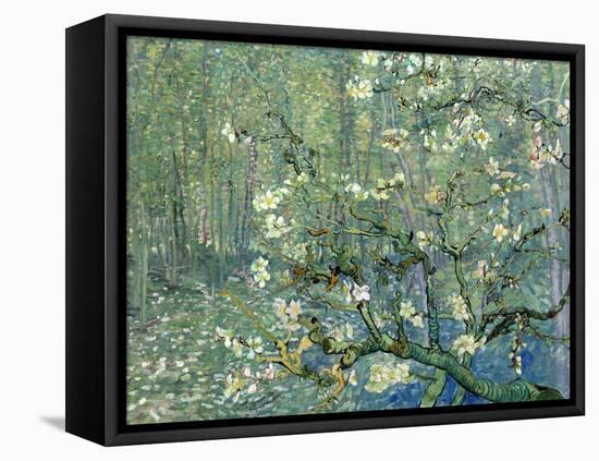 Collage Design with Painting Elements - Almond Branches in Bloom & Trees and Undergrowth-Elements of Vincent Van Gogh-Framed Stretched Canvas
