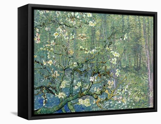 Collage Design with Painting Elements - Almond Branches in Bloom & Trees and Undergrowth-Elements of Vincent Van Gogh-Framed Stretched Canvas