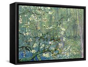 Collage Design with Painting Elements - Almond Branches in Bloom & Trees and Undergrowth-Elements of Vincent Van Gogh-Framed Stretched Canvas