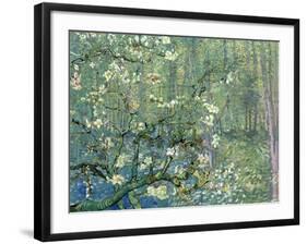 Collage Design with Painting Elements - Almond Branches in Bloom & Trees and Undergrowth-Elements of Vincent Van Gogh-Framed Art Print