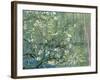 Collage Design with Painting Elements - Almond Branches in Bloom & Trees and Undergrowth-Elements of Vincent Van Gogh-Framed Art Print