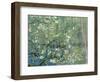 Collage Design with Painting Elements - Almond Branches in Bloom & Trees and Undergrowth-Elements of Vincent Van Gogh-Framed Art Print