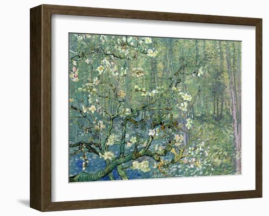 Collage Design with Painting Elements - Almond Branches in Bloom & Trees and Undergrowth-Elements of Vincent Van Gogh-Framed Art Print