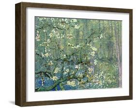 Collage Design with Painting Elements - Almond Branches in Bloom & Trees and Undergrowth-Elements of Vincent Van Gogh-Framed Art Print