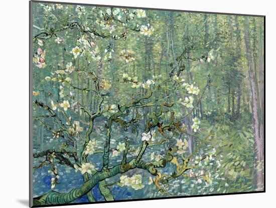 Collage Design with Painting Elements - Almond Branches in Bloom & Trees and Undergrowth-Elements of Vincent Van Gogh-Mounted Art Print