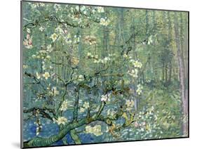 Collage Design with Painting Elements - Almond Branches in Bloom & Trees and Undergrowth-Elements of Vincent Van Gogh-Mounted Art Print